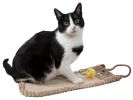 Pet Life Eco-Natural Sisal And Jute Hanging Carpet Kitty Cat Scratcher Lounge With Toy